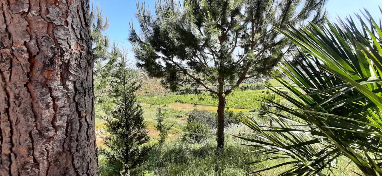 Vakantieboerderij Casale Ginisara Castellammare del Golfo